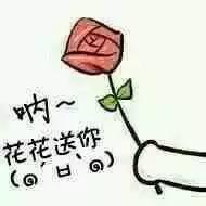 花花吃瓜表情,揭秘网络潮流背后的趣味与思考