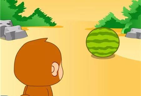 播放小猴子吃瓜,欢乐时光里的趣味瞬间