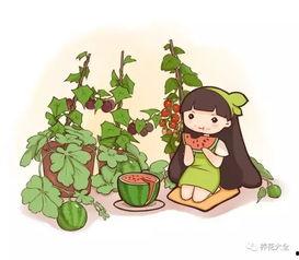 吃瓜不用花钱了,畅享娱乐盛宴