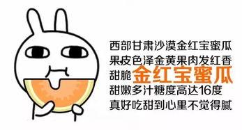 吃瓜群众该怎么回