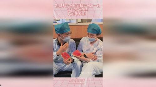 护士吃瓜英子,揭秘医疗界的“瓜田”趣事
