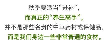 吃三百瓜文案怎么写,一场味蕾的狂欢之旅