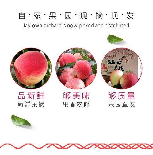 吃瓜-仙仙桃,探寻神秘仙果的奇幻之旅