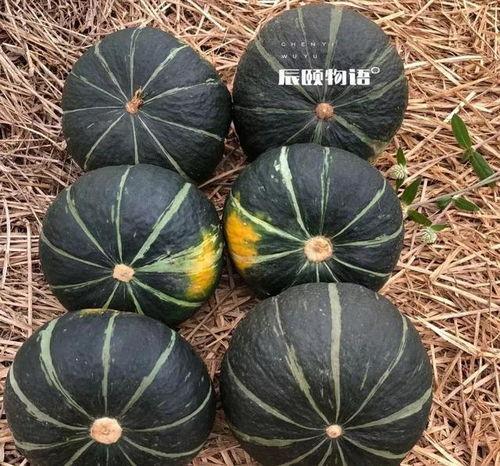 辰辰吃瓜趣事,揭秘娱乐圈幕后花絮