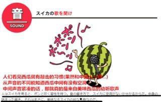 吃瓜才是真谛,揭秘娱乐圈真相的真谛