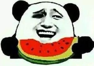 狗头吃瓜群众图片,趣味横生的网络现象解析