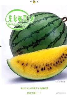 小世界吃瓜,揭秘娱乐圈的幕后故事